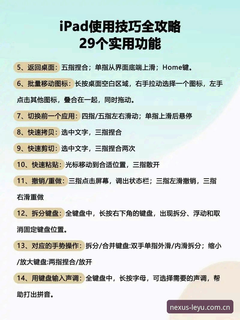 乐鱼体育平台高效使用技巧完整指南：从下载到实战的硬核操作手册